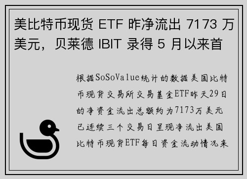 美比特币现货 ETF 昨净流出 7173 万美元，贝莱德 IBIT 录得 5 月以来首次净流出