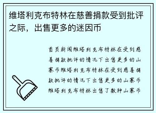 维塔利克布特林在慈善捐款受到批评之际，出售更多的迷因币